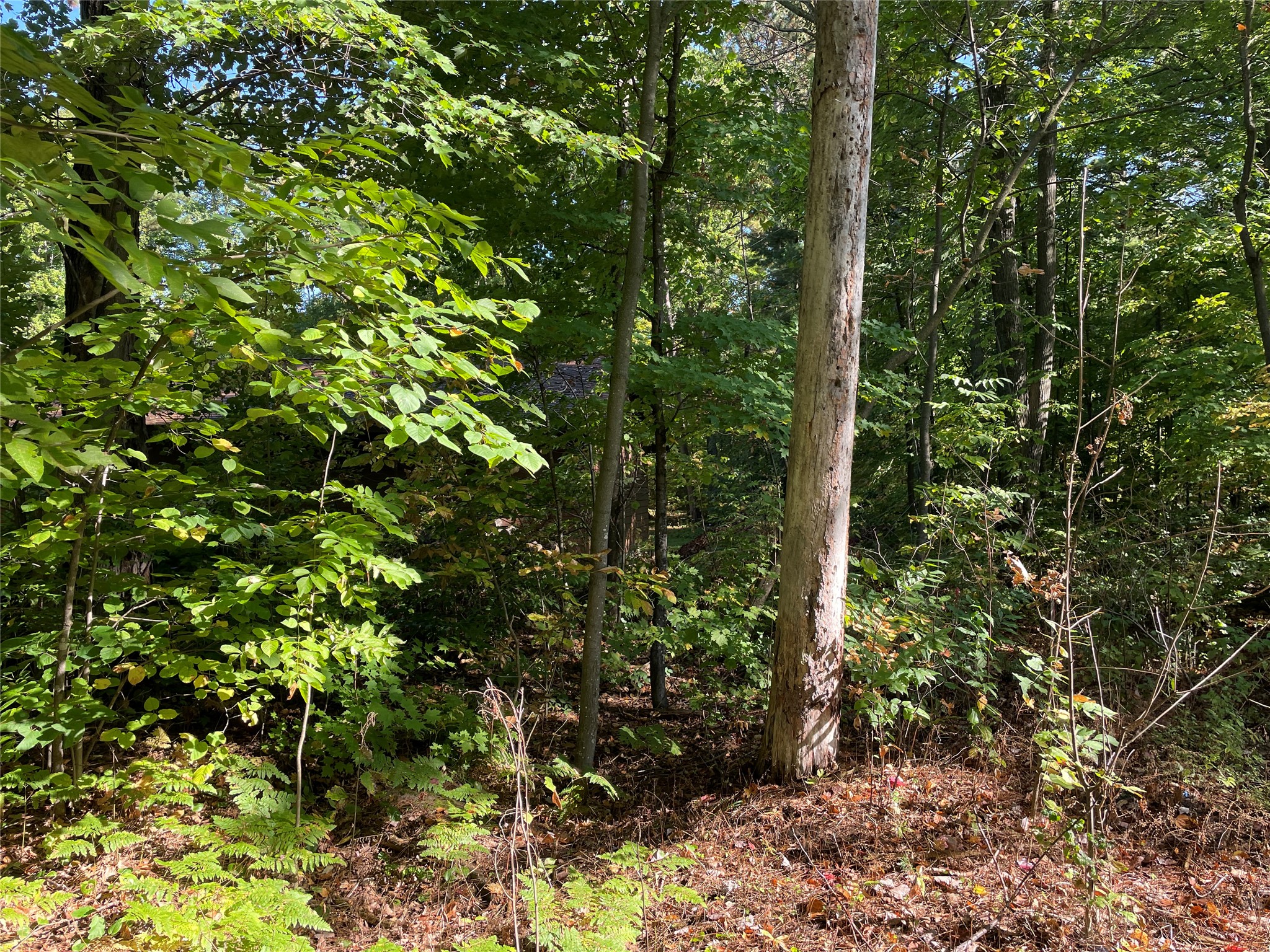 6073 N Elsie Road Property Photo 37