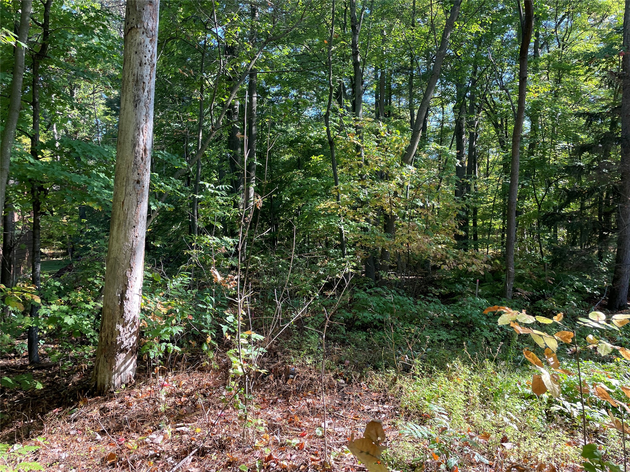 6073 N Elsie Road Property Photo 39