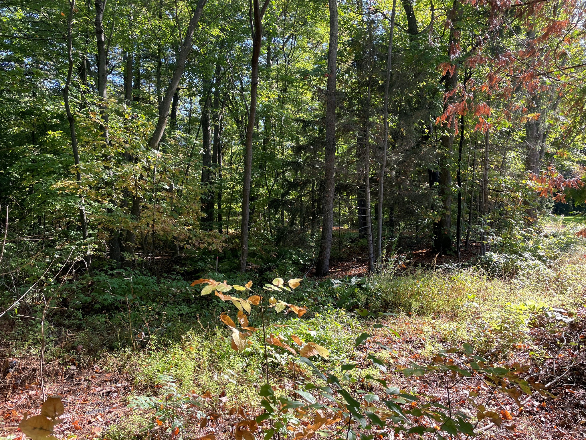 6073 N Elsie Road Property Photo 40