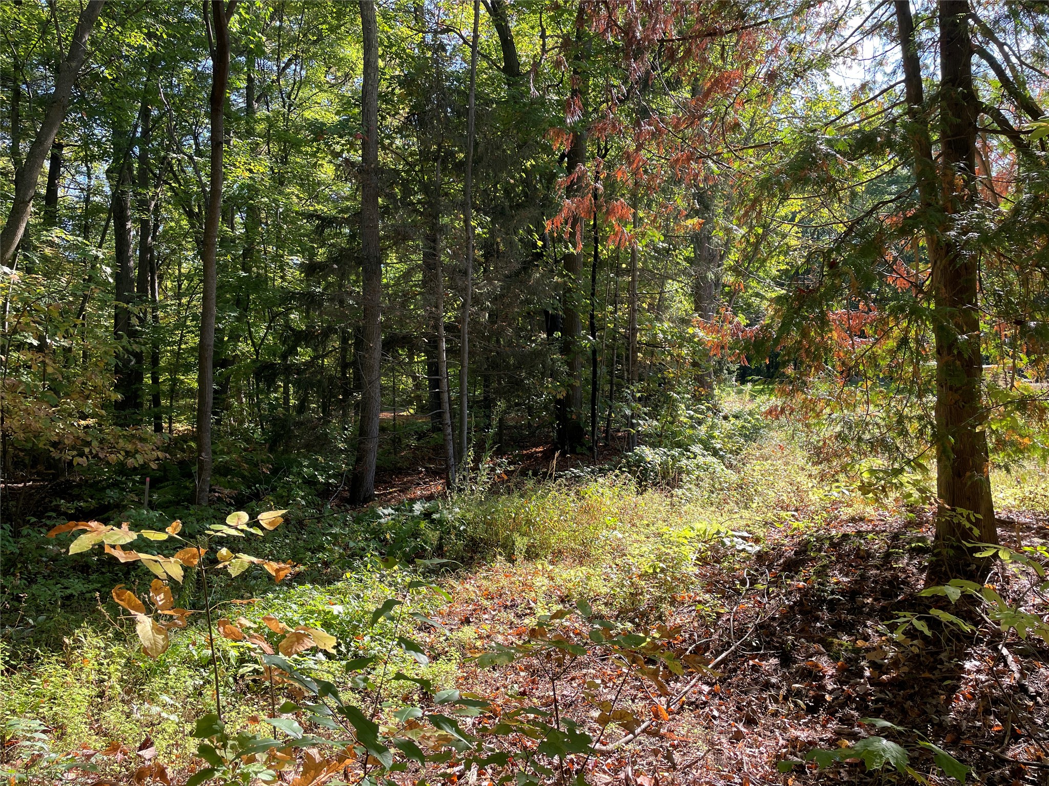 6073 N Elsie Road Property Photo 41