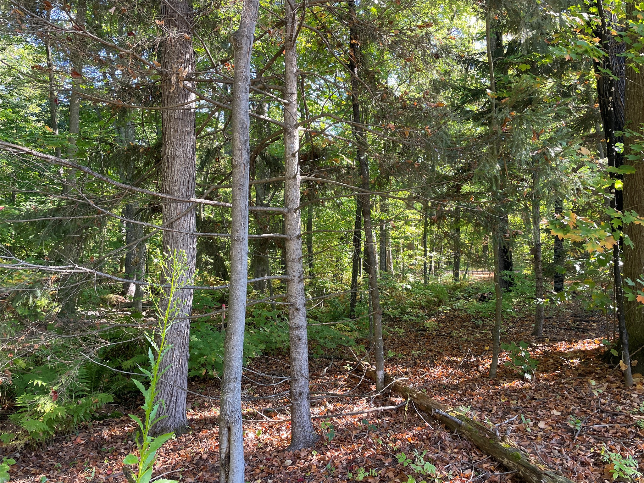 6073 N Elsie Road Property Photo 42