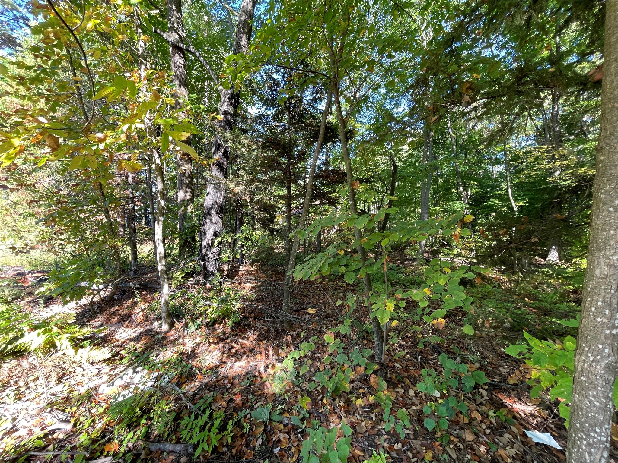 6073 N Elsie Road Property Photo 43
