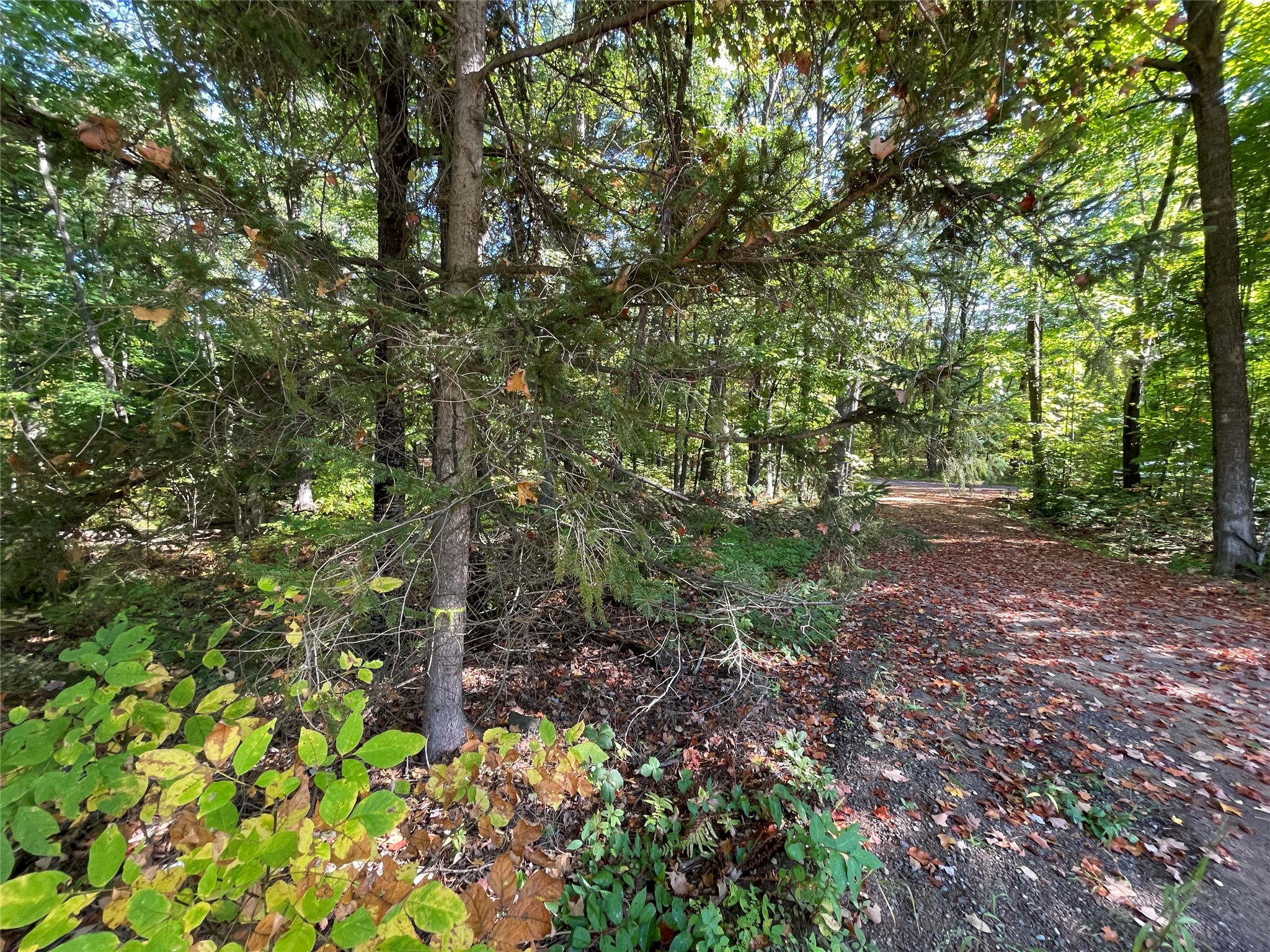 6073 N Elsie Road Property Photo 44