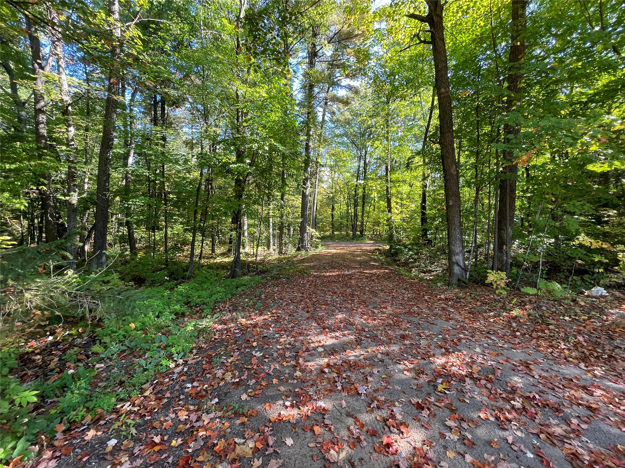 6073 N Elsie Road Property Photo 45