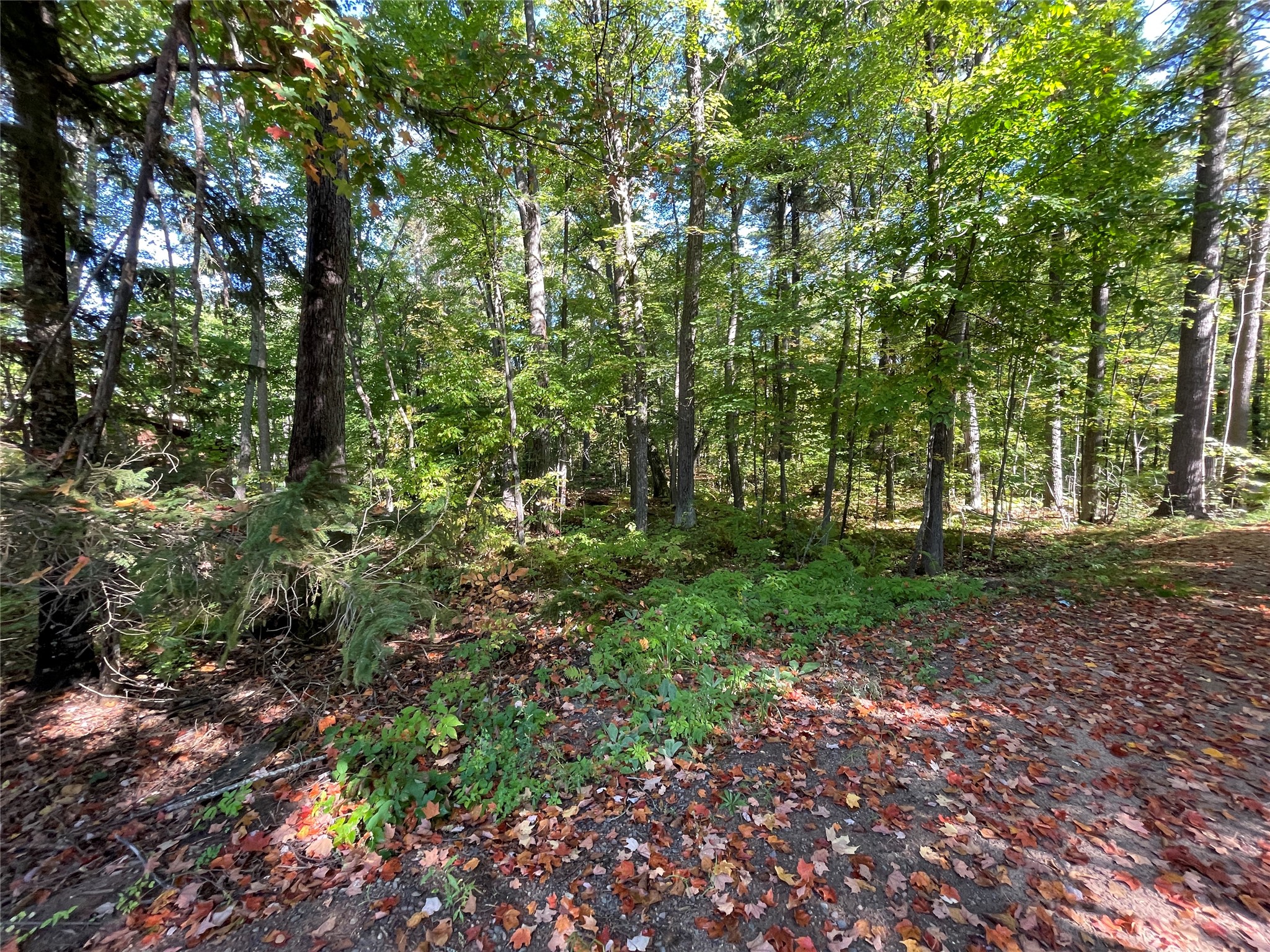 6073 N Elsie Road Property Photo 46