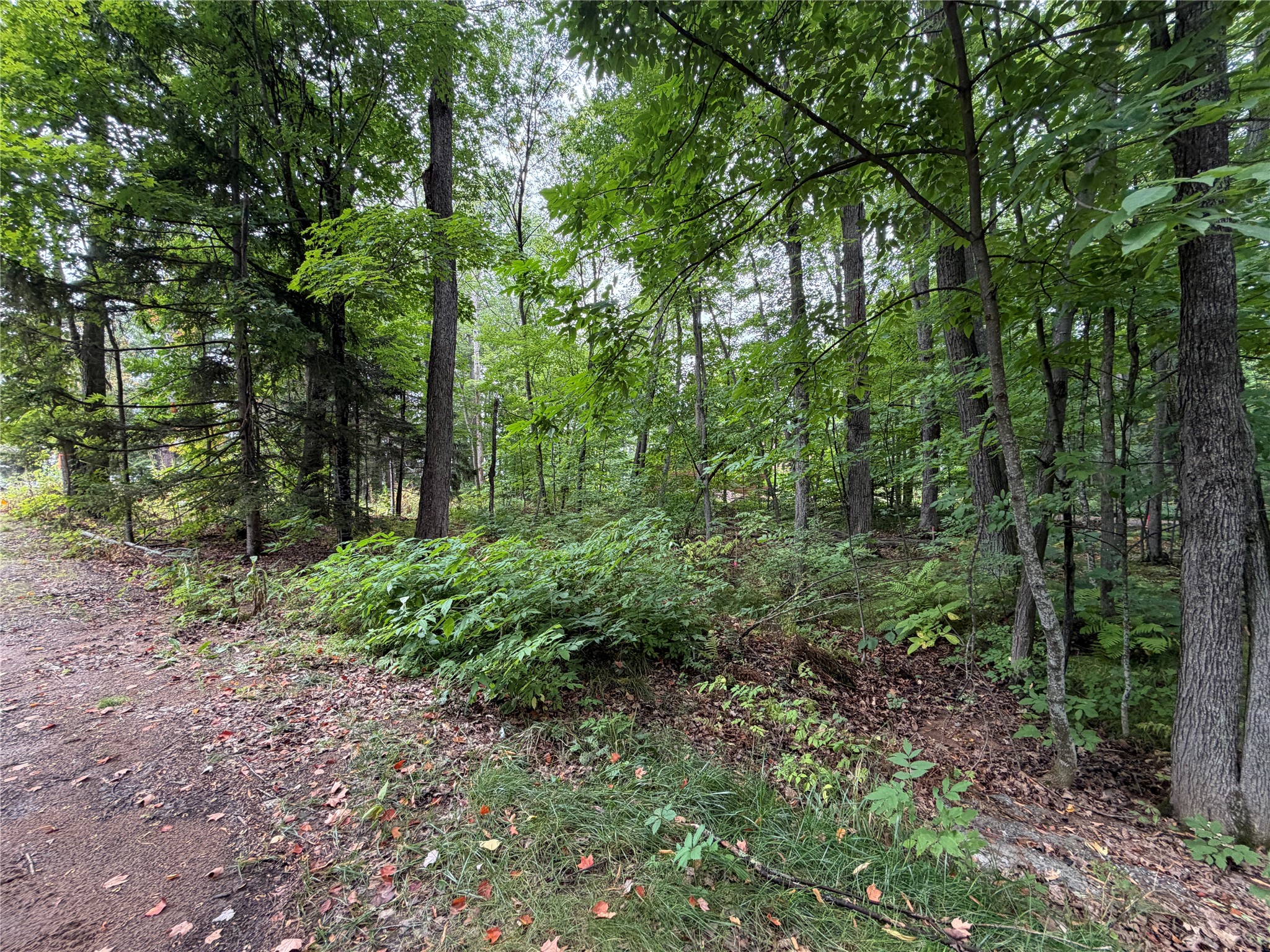 6073 N Elsie Road Property Photo 47
