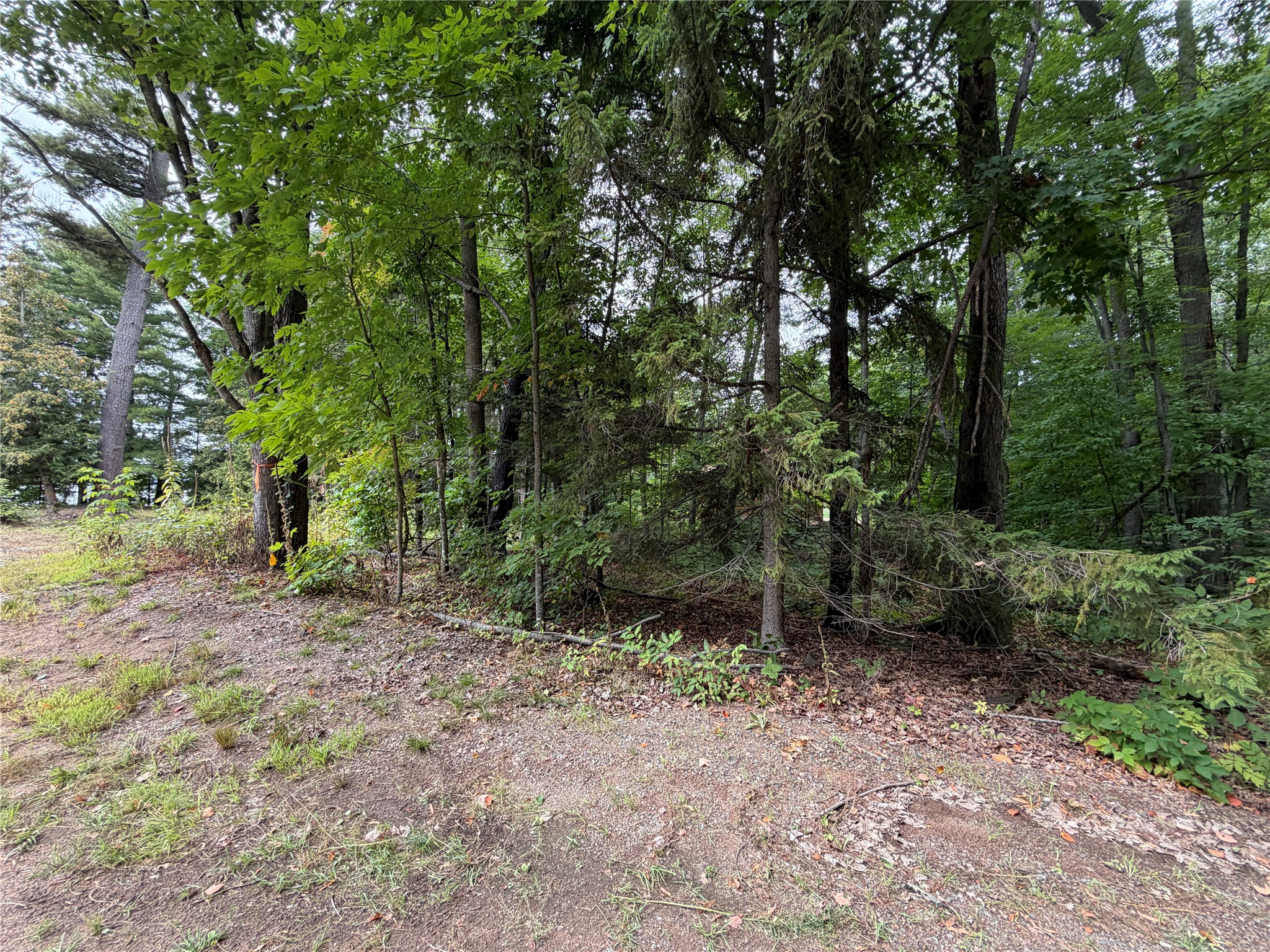 6073 N Elsie Road Property Photo 48