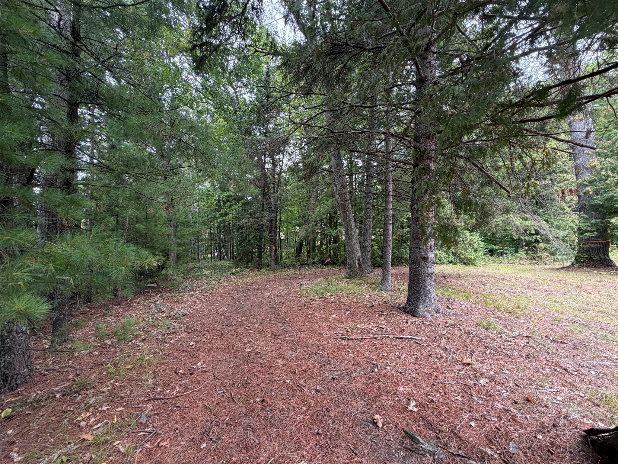 6073 N Elsie Road Property Photo 58