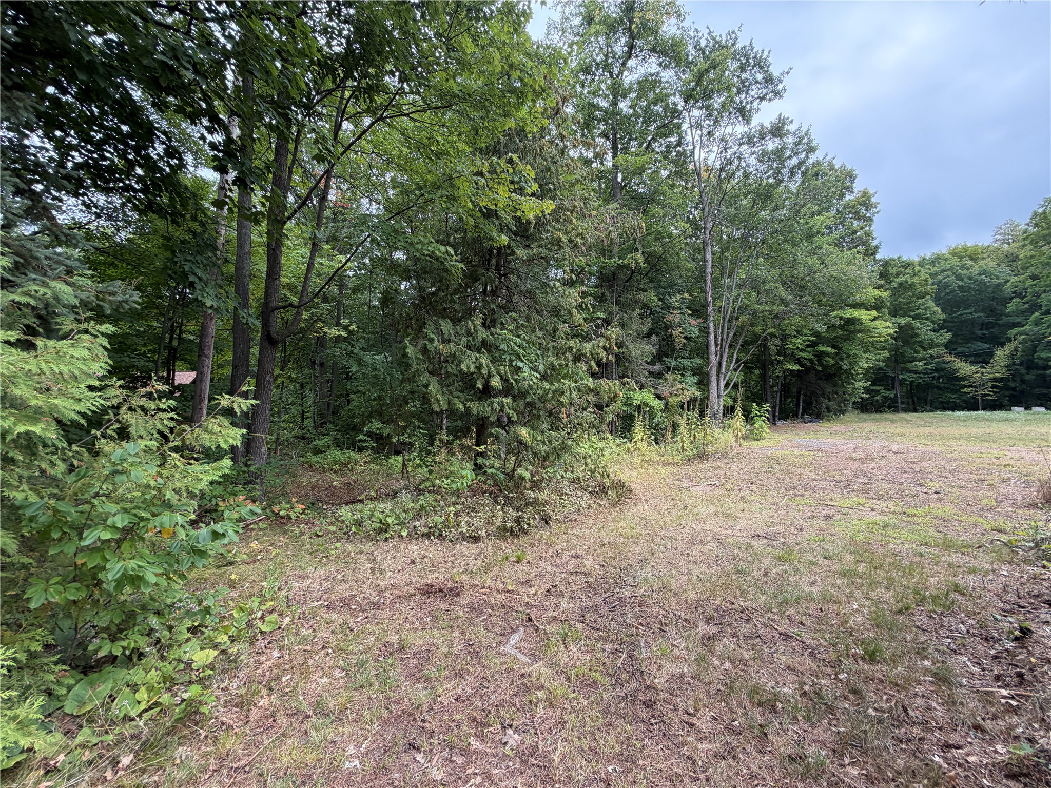 6073 N Elsie Road Property Photo 60
