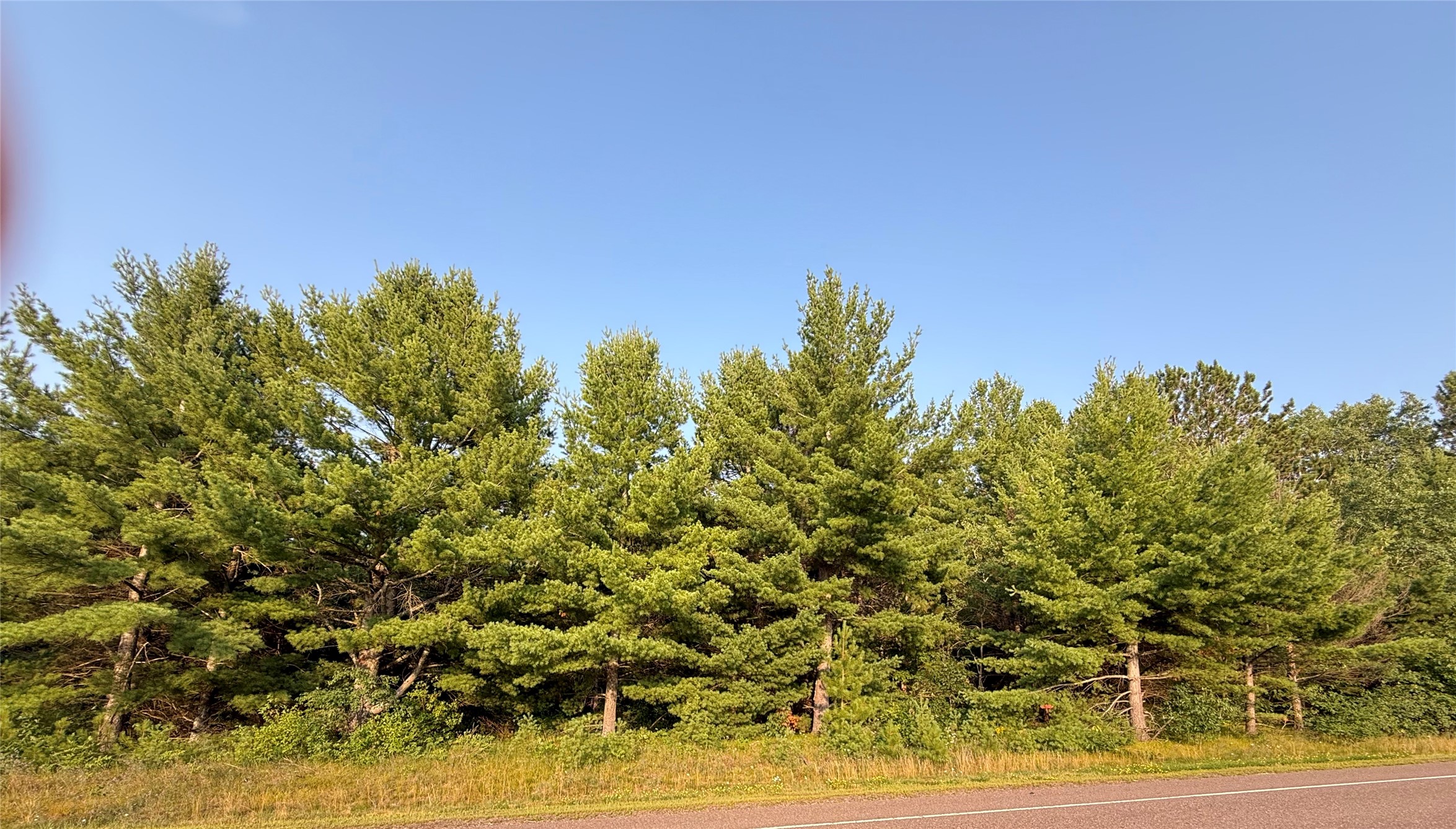 Tbd County Highway F Property Photo 1