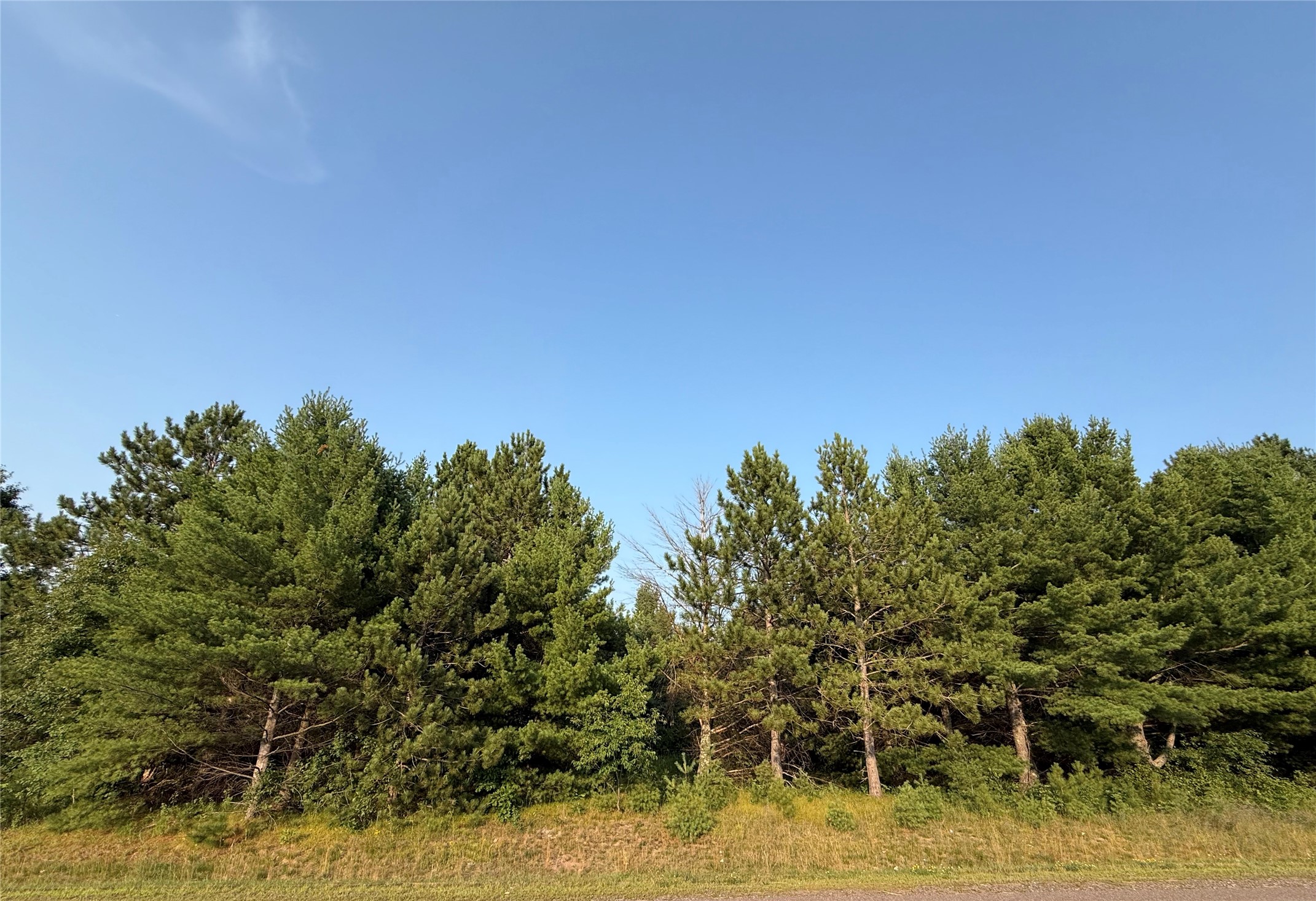 Tbd County Highway F Property Photo 3