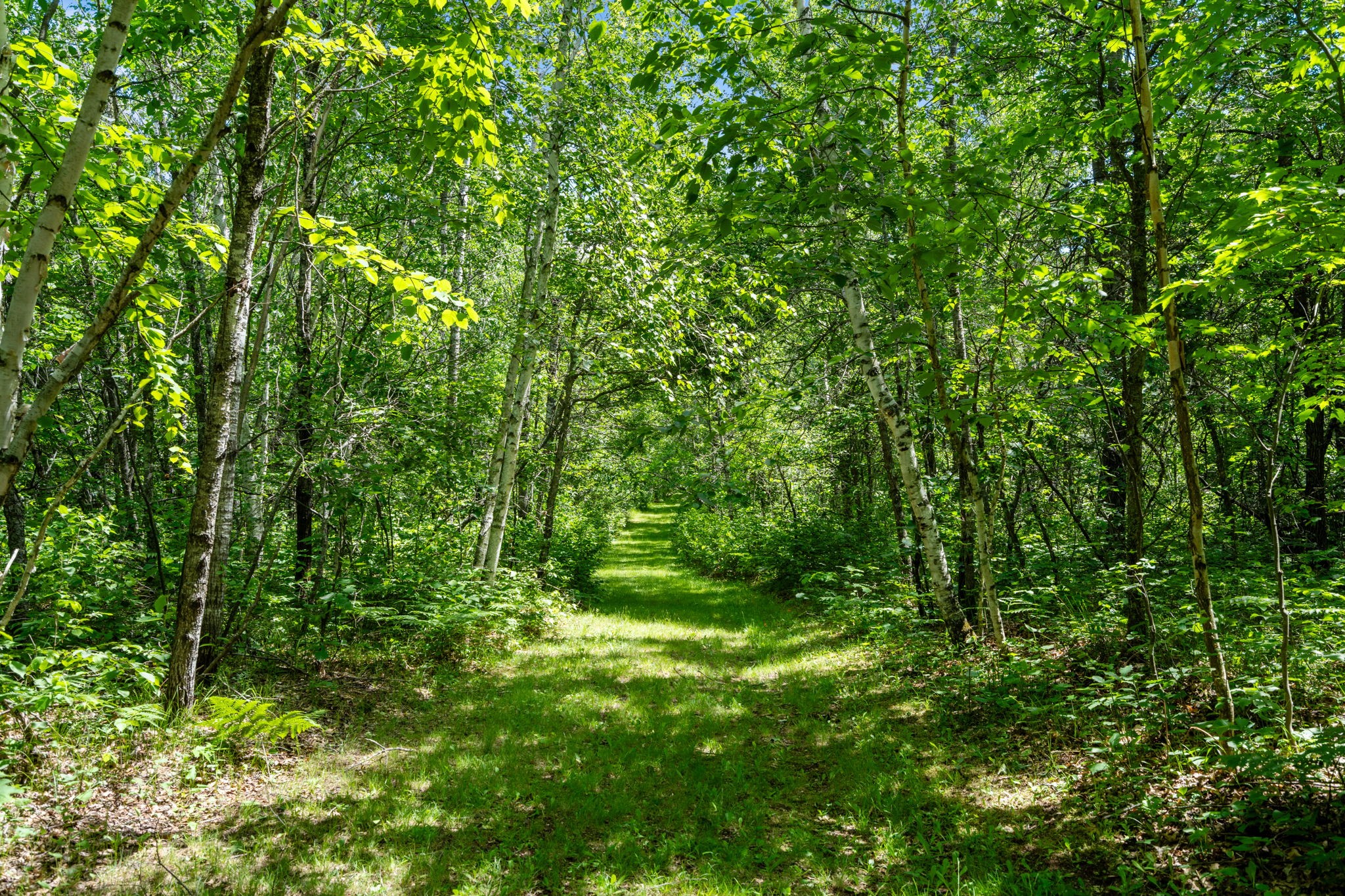 12997 E Mail Road Property Photo 30