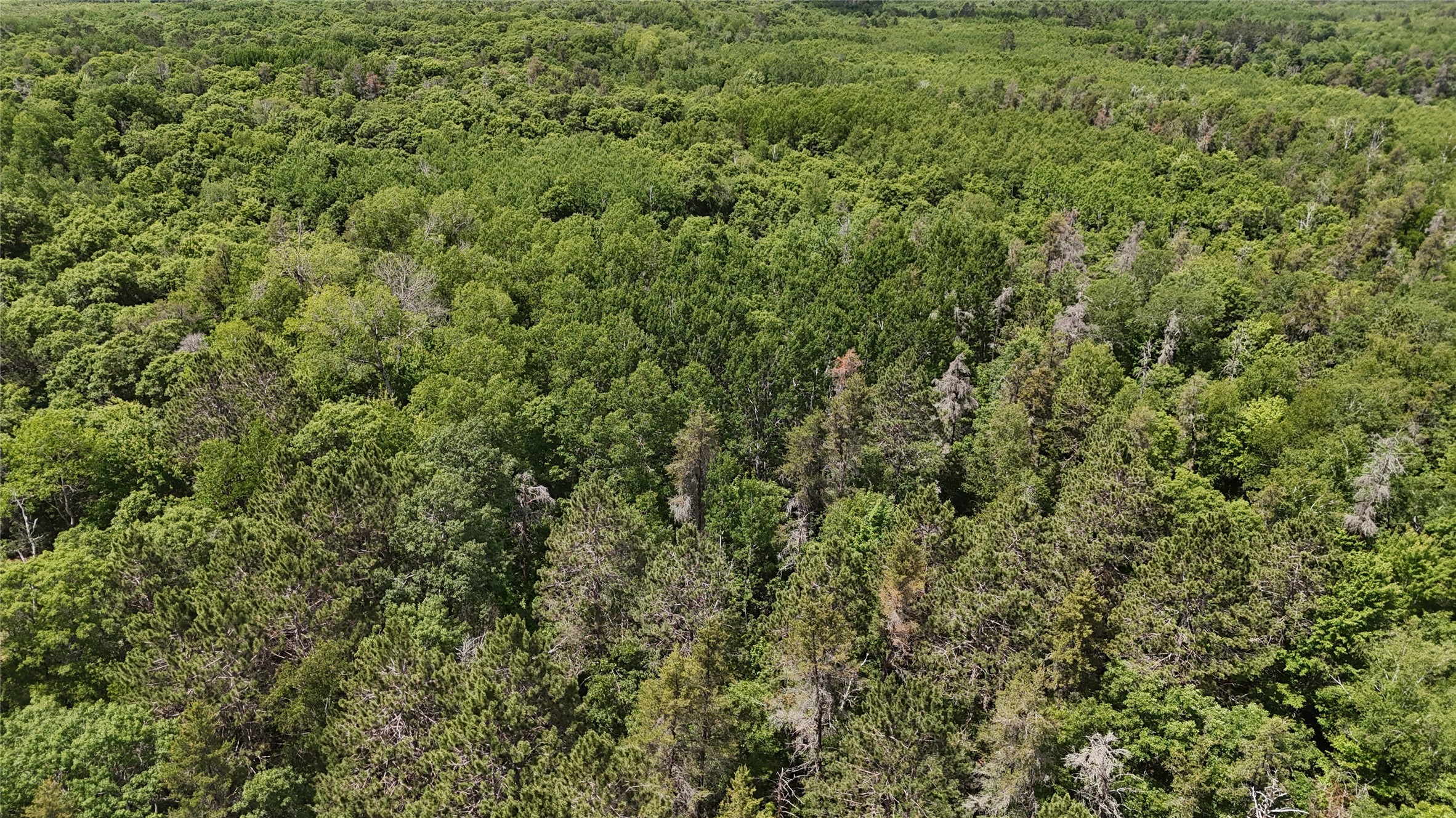 12997 E Mail Road Property Photo 33
