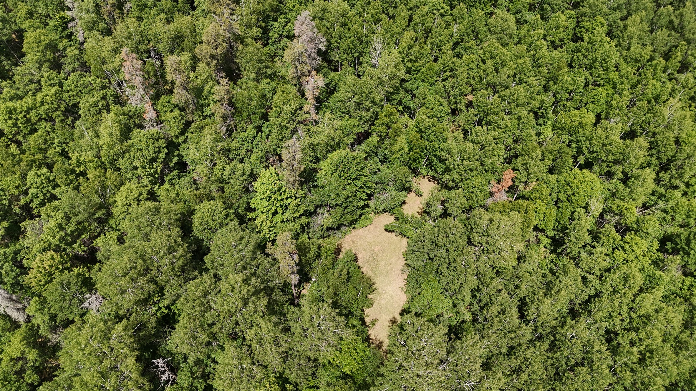 12997 E Mail Road Property Photo 34