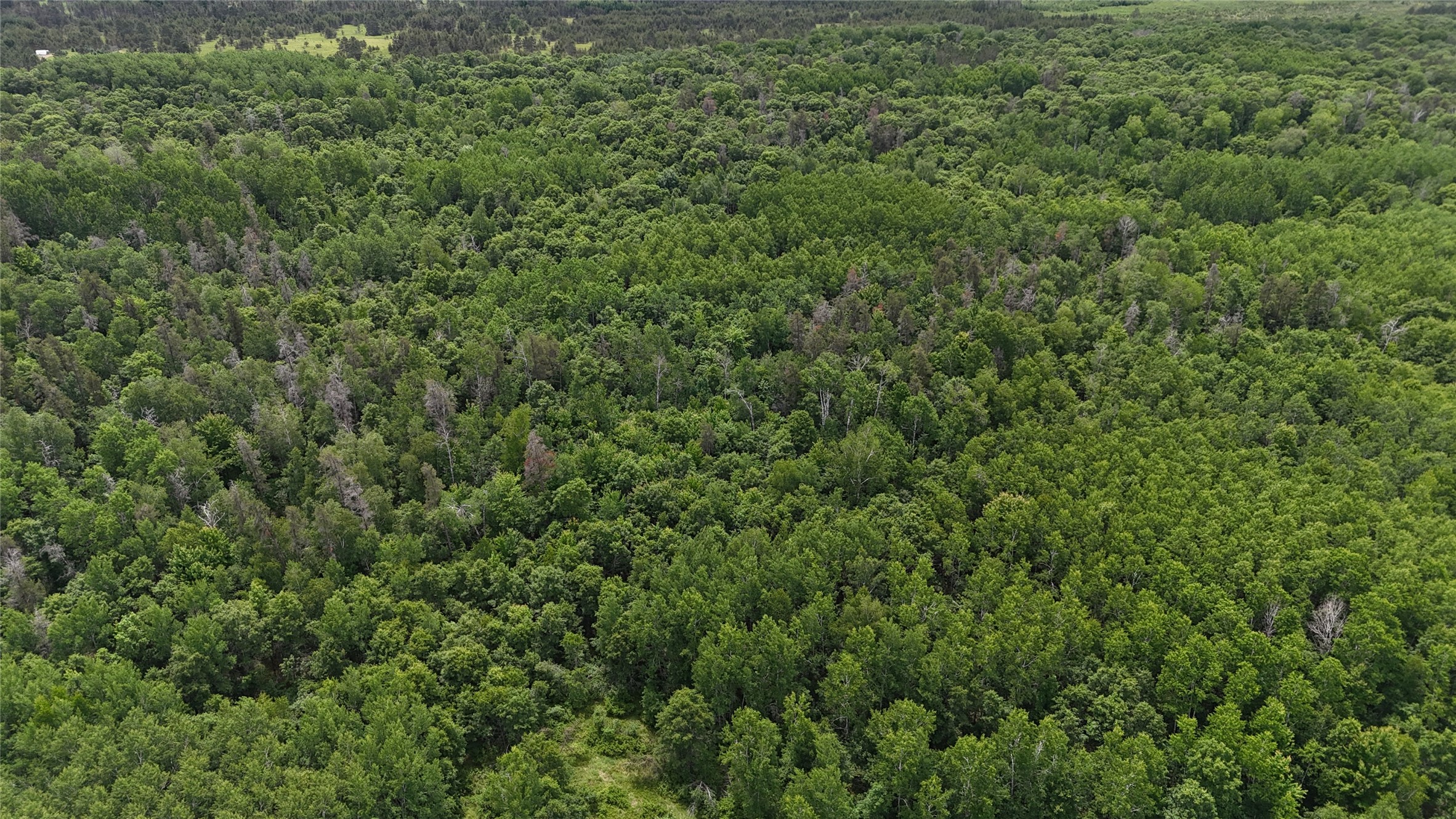 12997 E Mail Road Property Photo 36