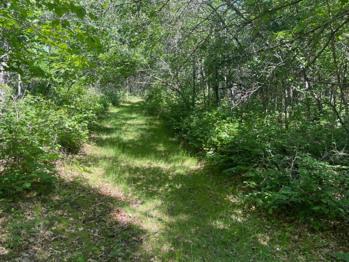 12997 E Mail Road Property Photo 38