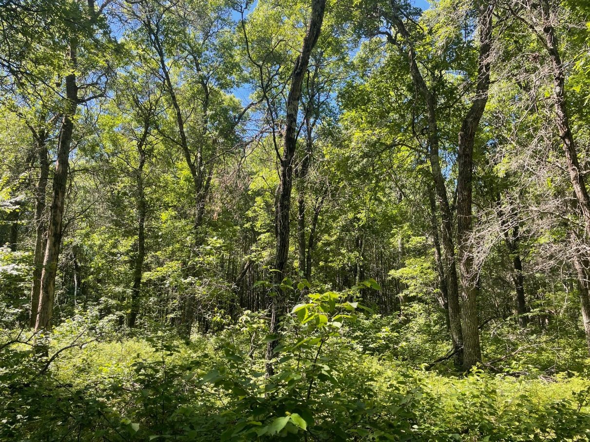 12997 E Mail Road Property Photo 44