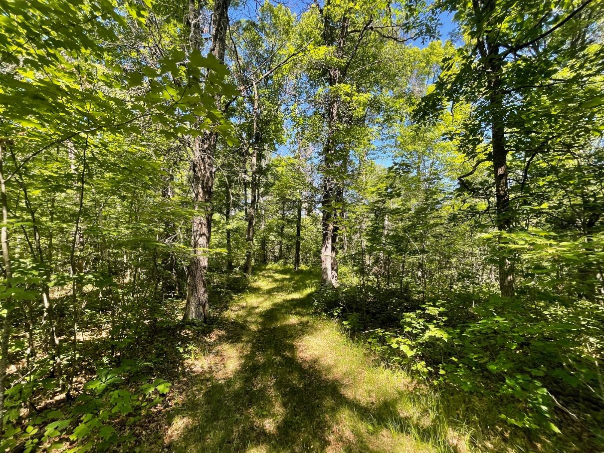 12997 E Mail Road Property Photo 45