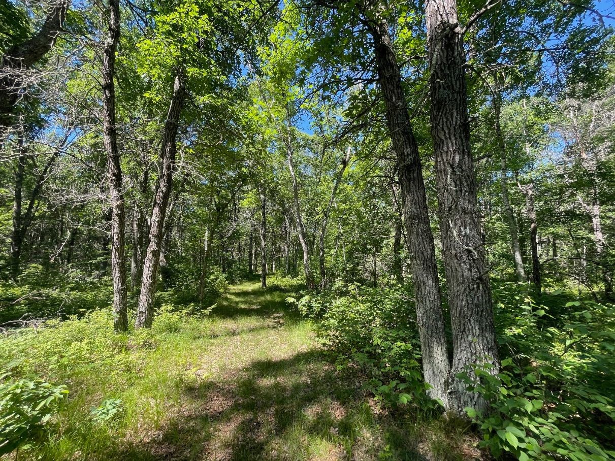 12997 E Mail Road Property Photo 46