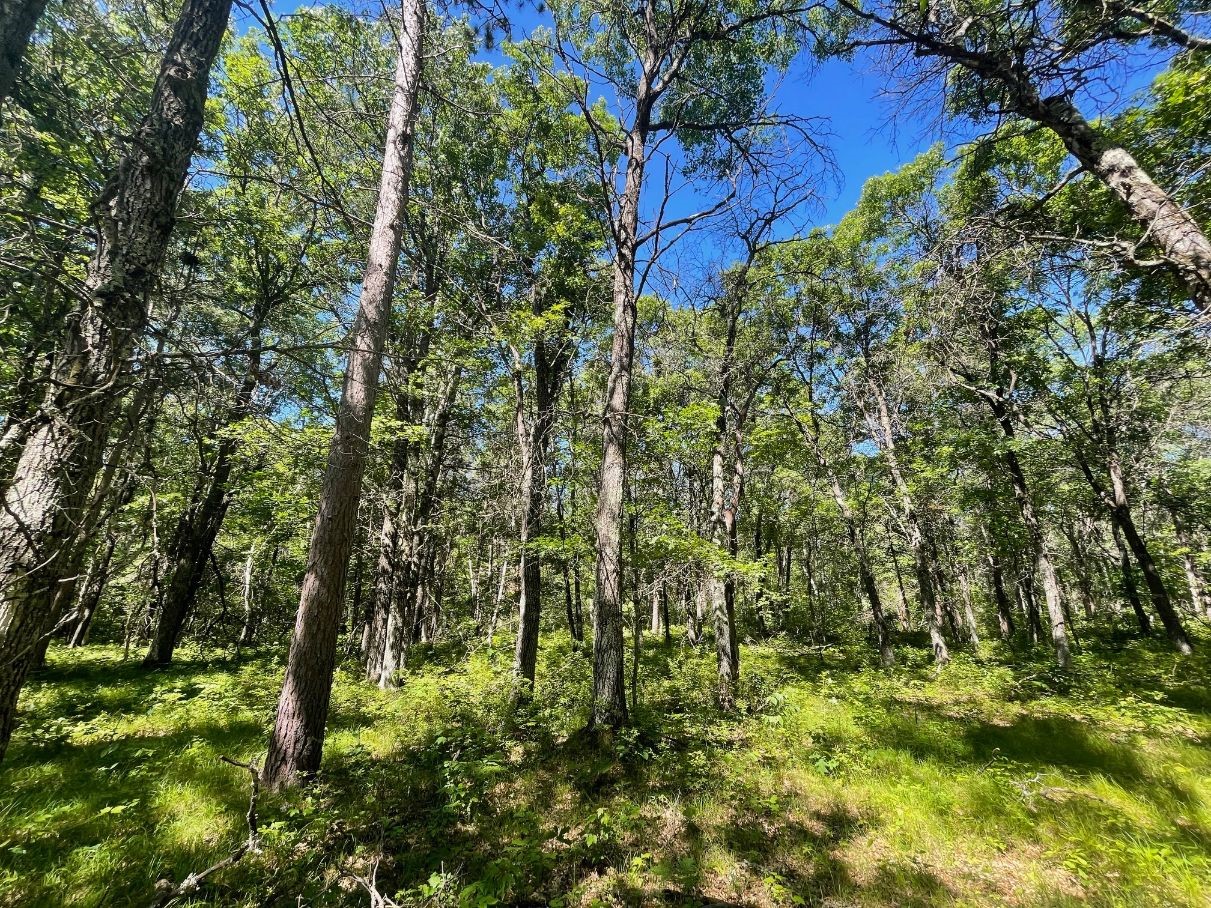 12997 E Mail Road Property Photo 47