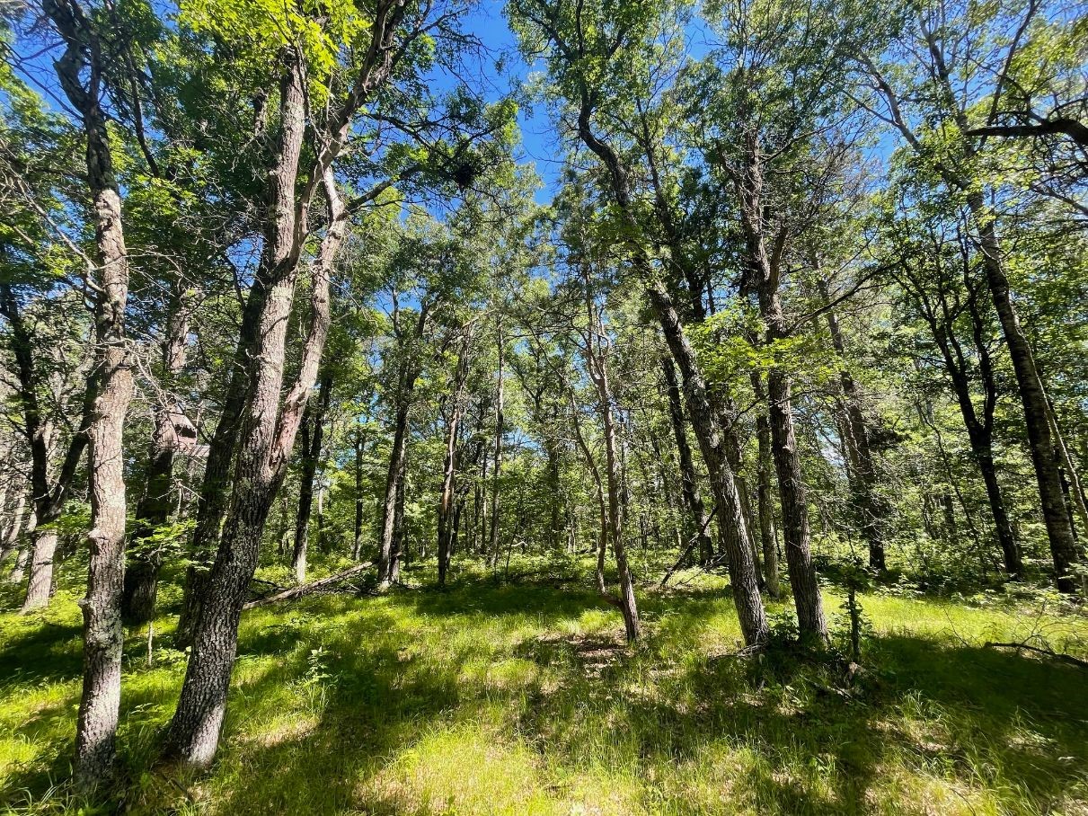 12997 E Mail Road Property Photo 49