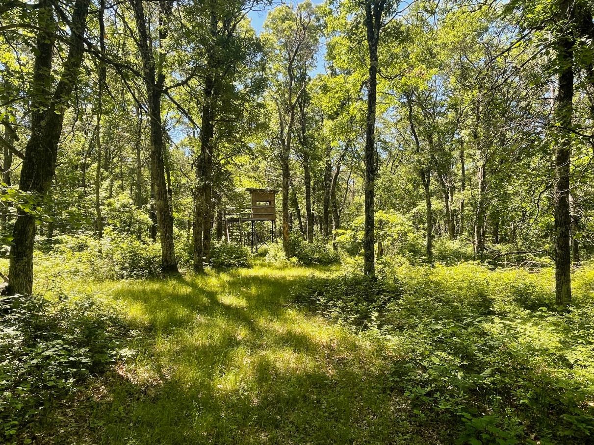 12997 E Mail Road Property Photo 52