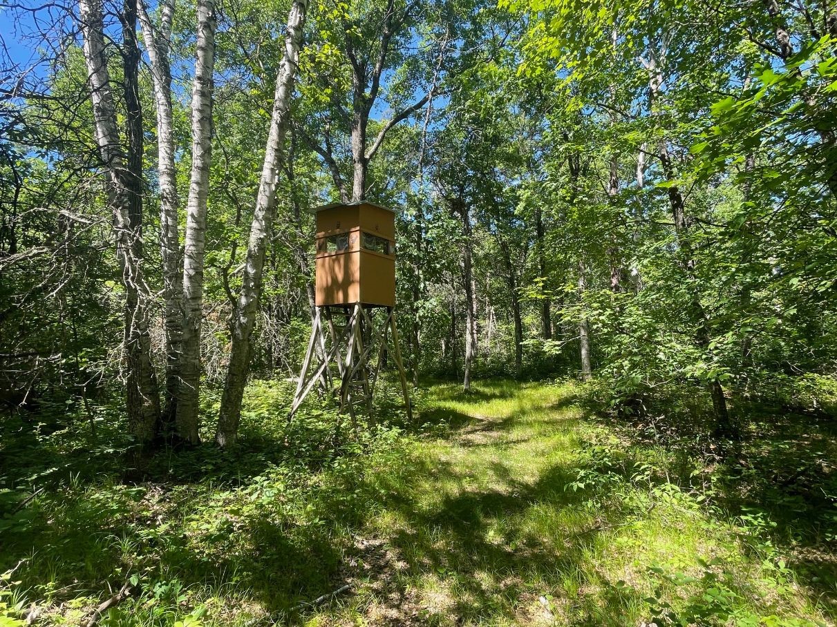 12997 E Mail Road Property Photo 57