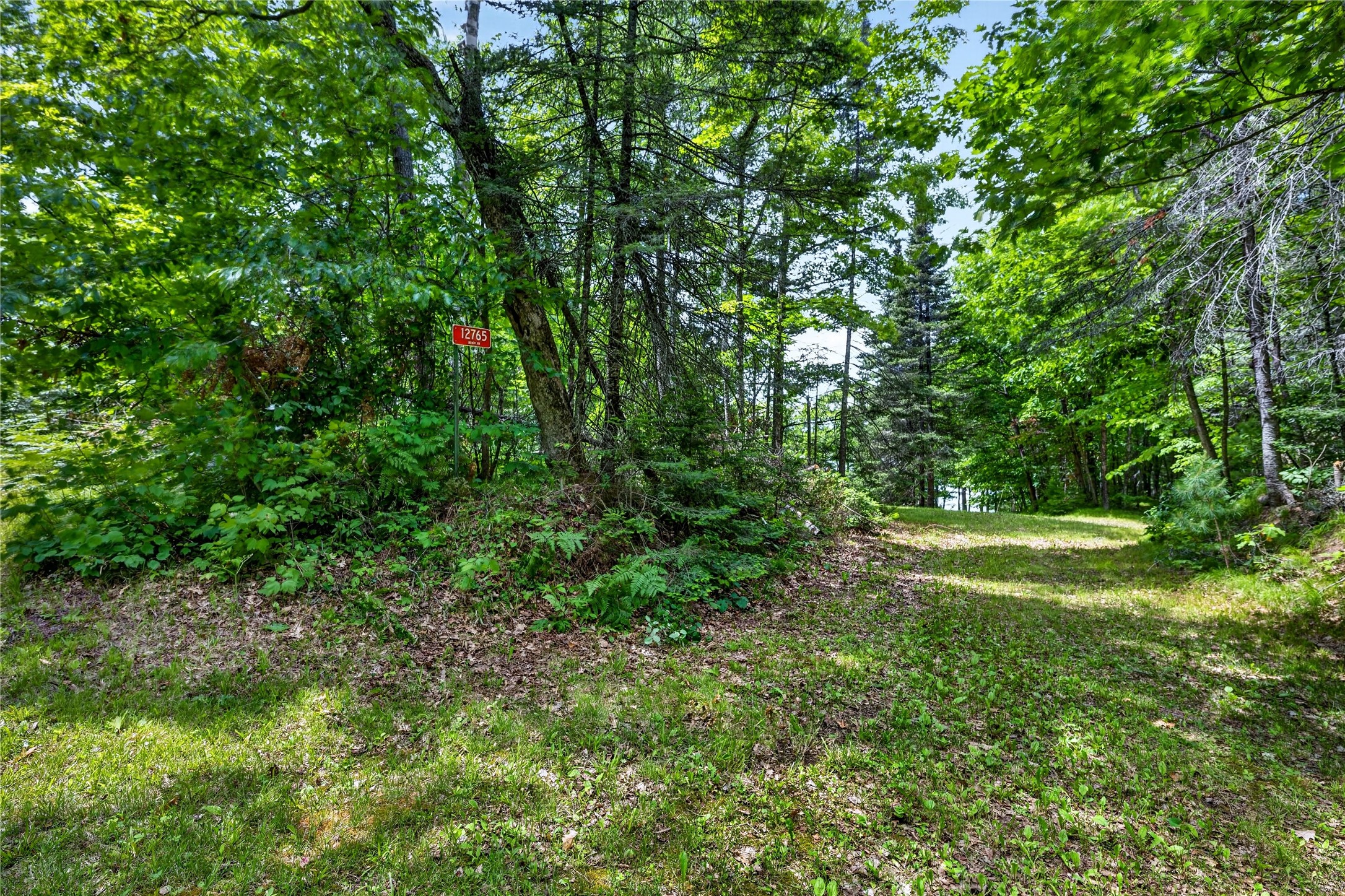 12765 Brady Road Property Photo 27