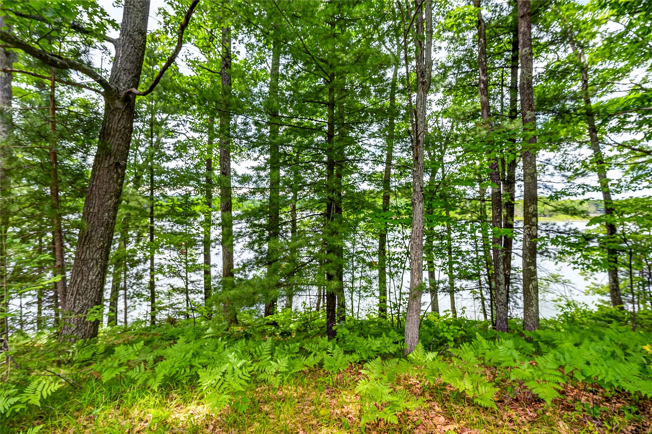 12765 Brady Road Property Photo 37