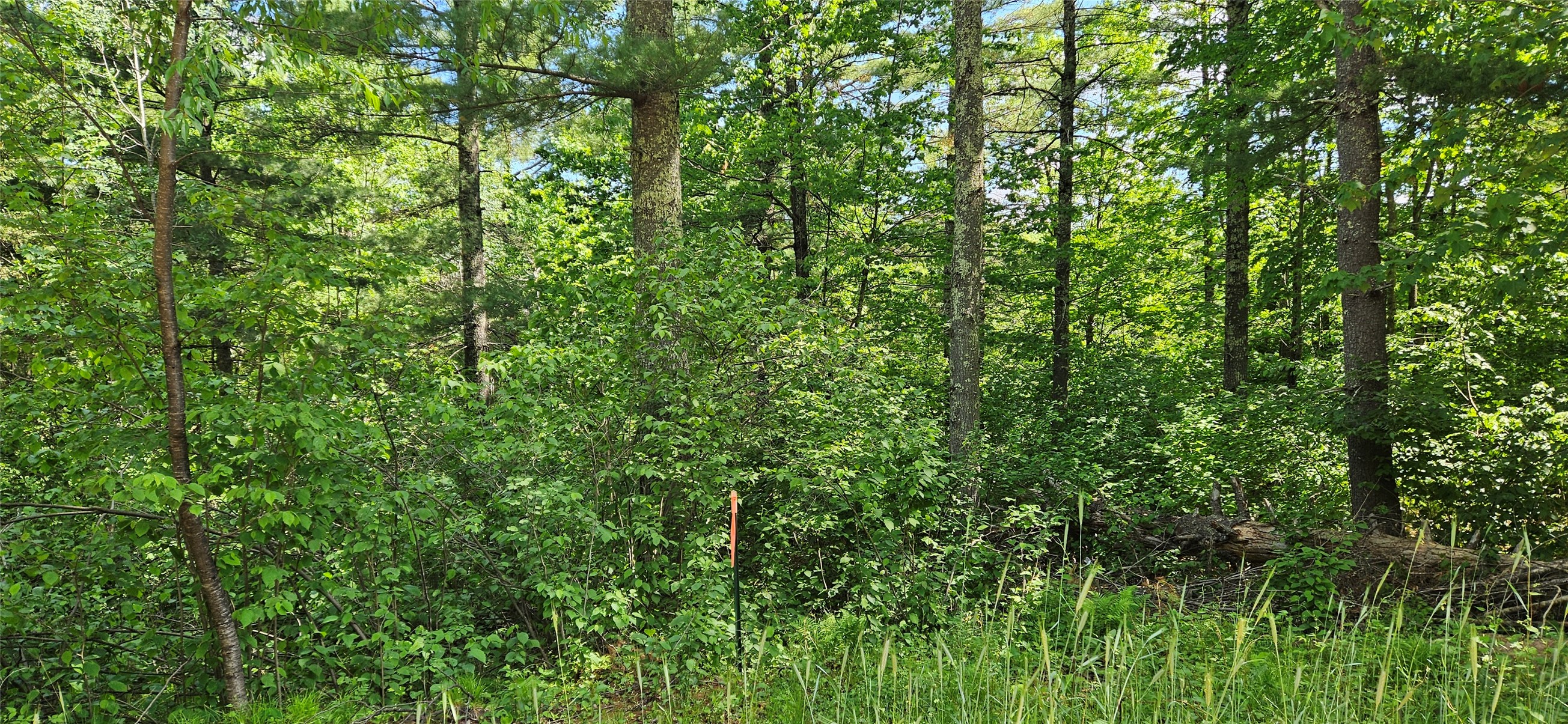 0000 Windrose Lane Property Photo 1