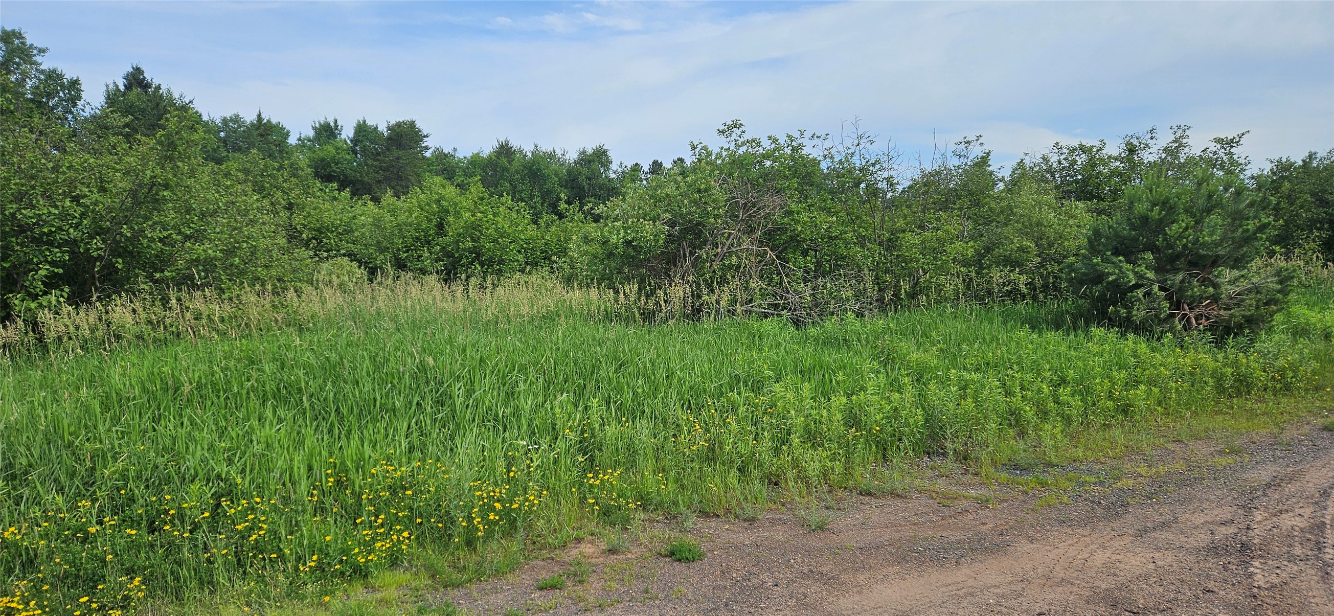 0000 Windrose Lane Property Photo 3