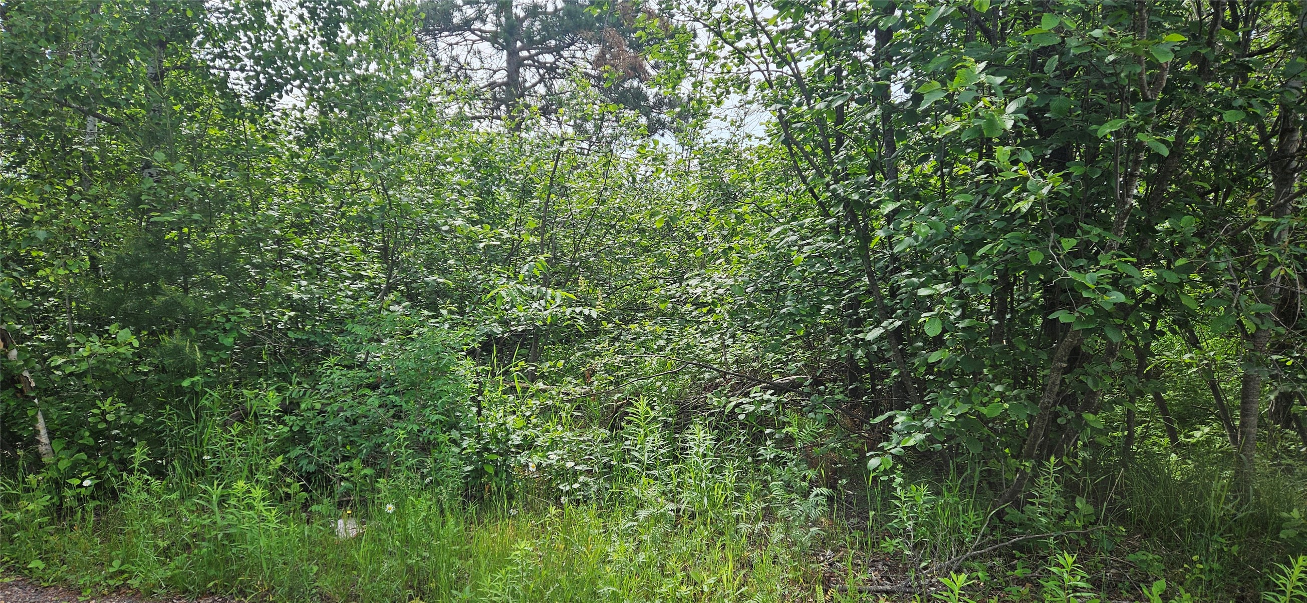 0000 Windrose Lane Property Photo 5