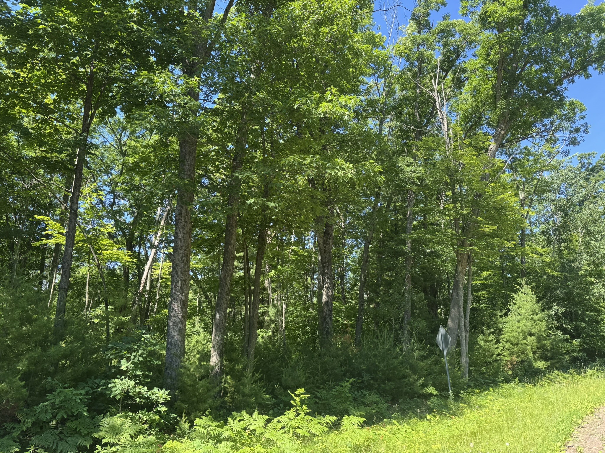 Xx Bean Brook Lane Property Photo 10