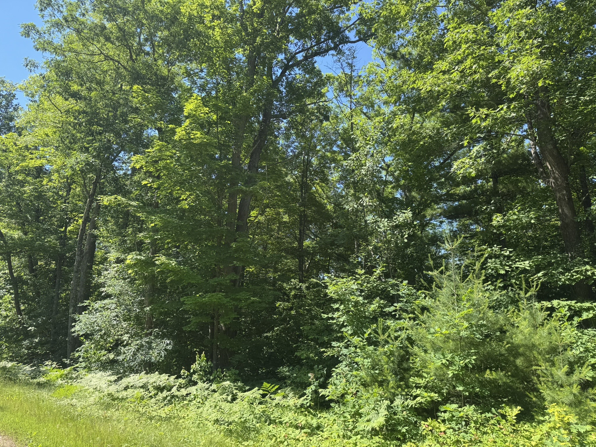 Xx Bean Brook Lane Property Photo 12