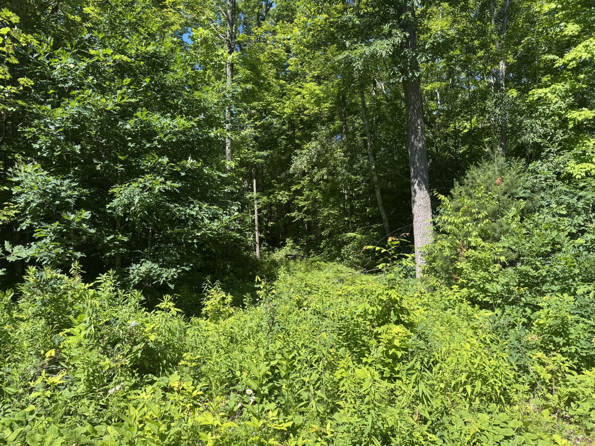 Xx Bean Brook Lane Property Photo 14