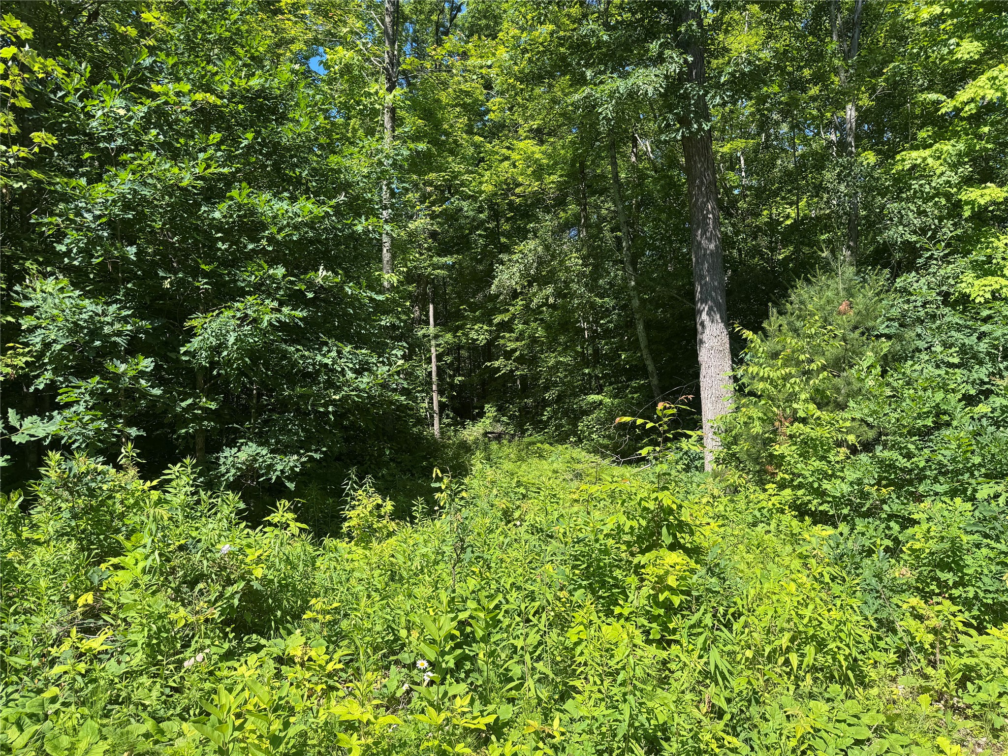 Xx Bean Brook Lane Property Photo 15