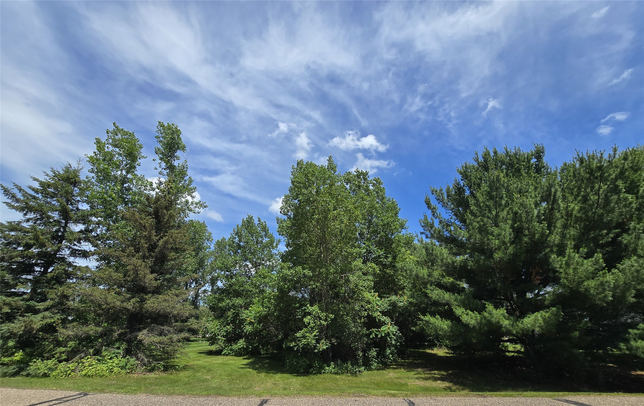 Lot 1 91st Avenue Property Photo 8