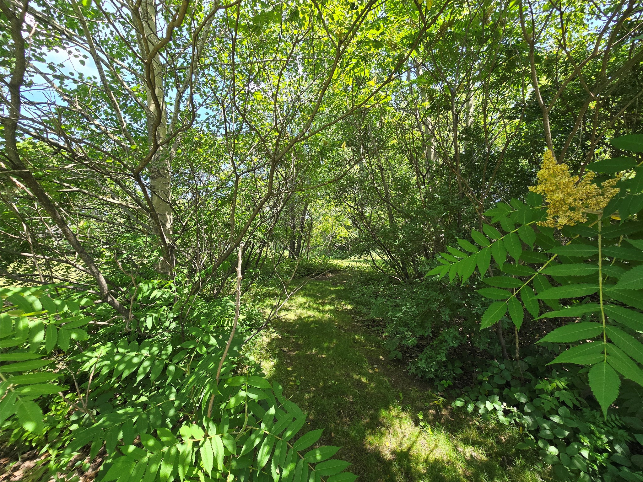 Lot 1 91st Avenue Property Photo 10