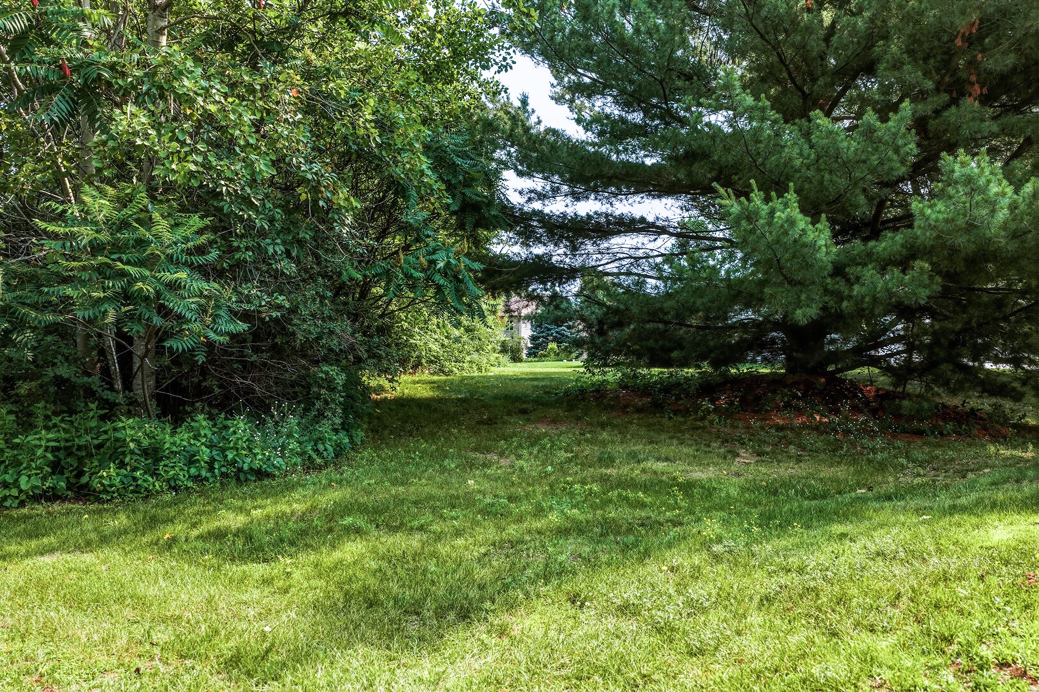 Lot 1 91st Avenue Property Photo 11