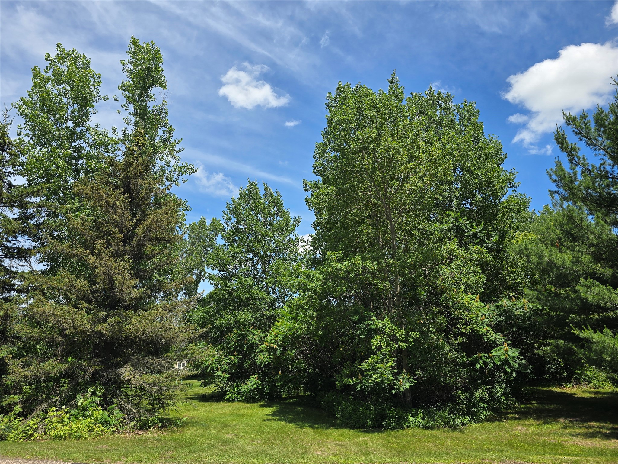 Lot 1 91st Avenue Property Photo 12