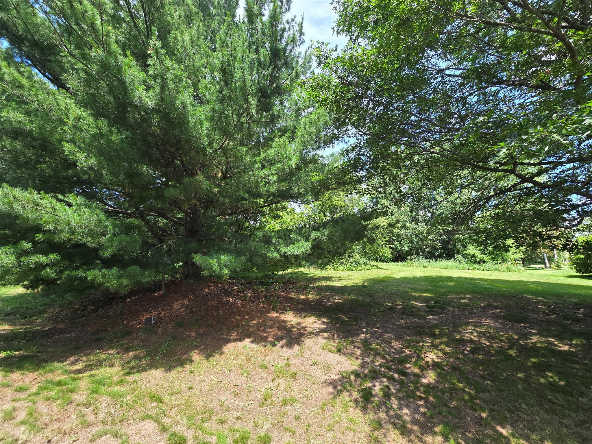 Lot 1 91st Avenue Property Photo 13