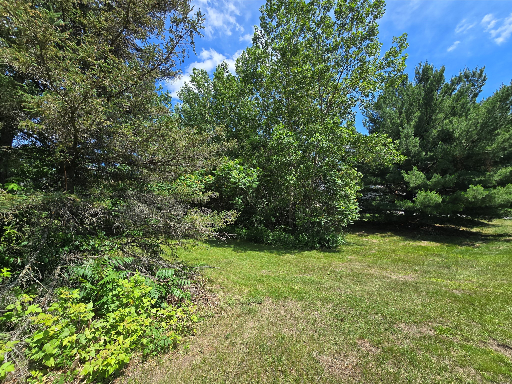 Lot 1 91st Avenue Property Photo 14