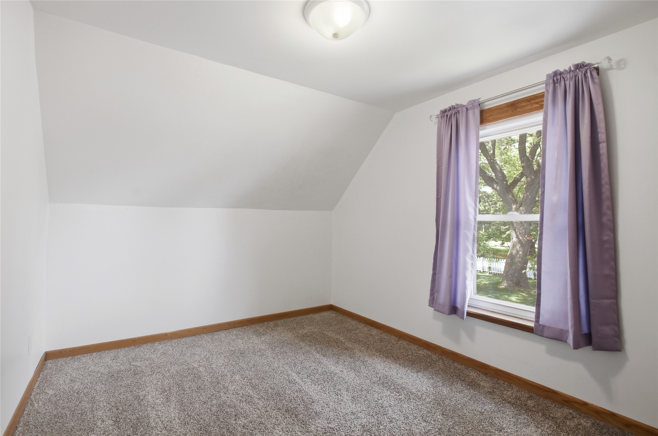 209 Vine Street Property Photo 25