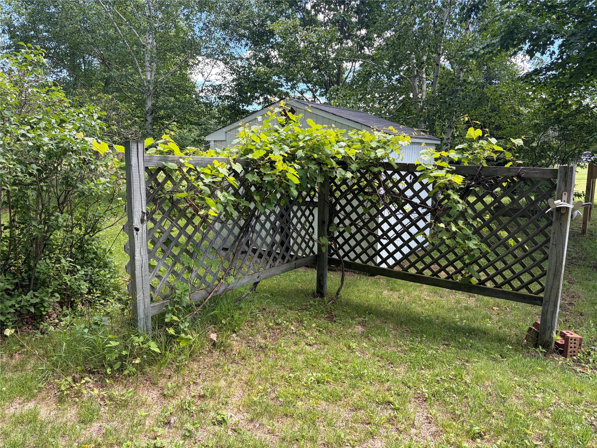 W6858 County Road H Property Photo 40