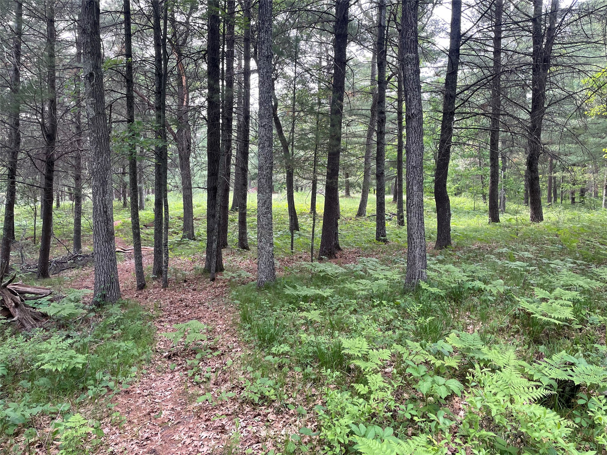 Lot 4 Big Bear Court Property Photo 2