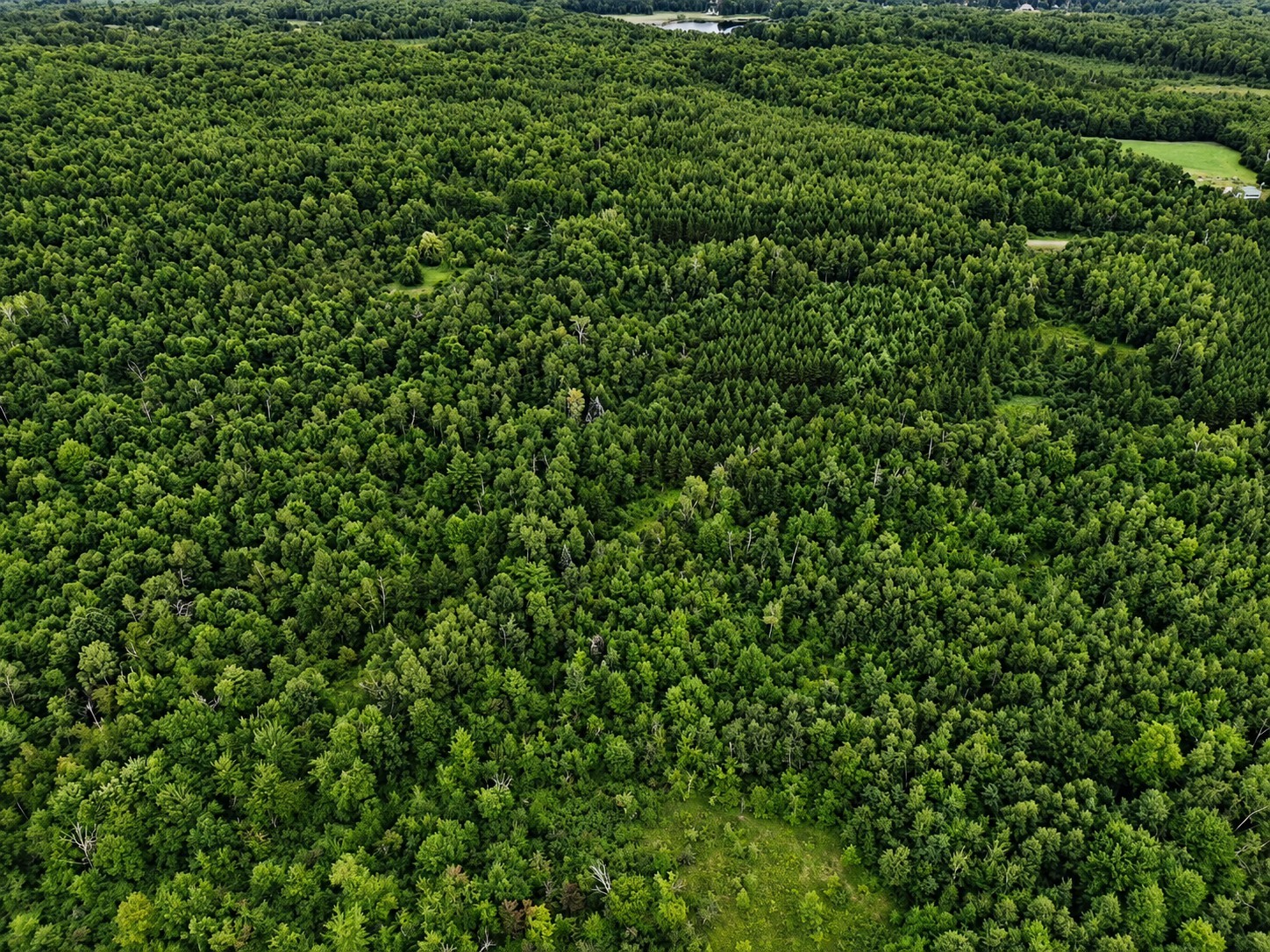 20 Acres Adams Road Property Photo 2