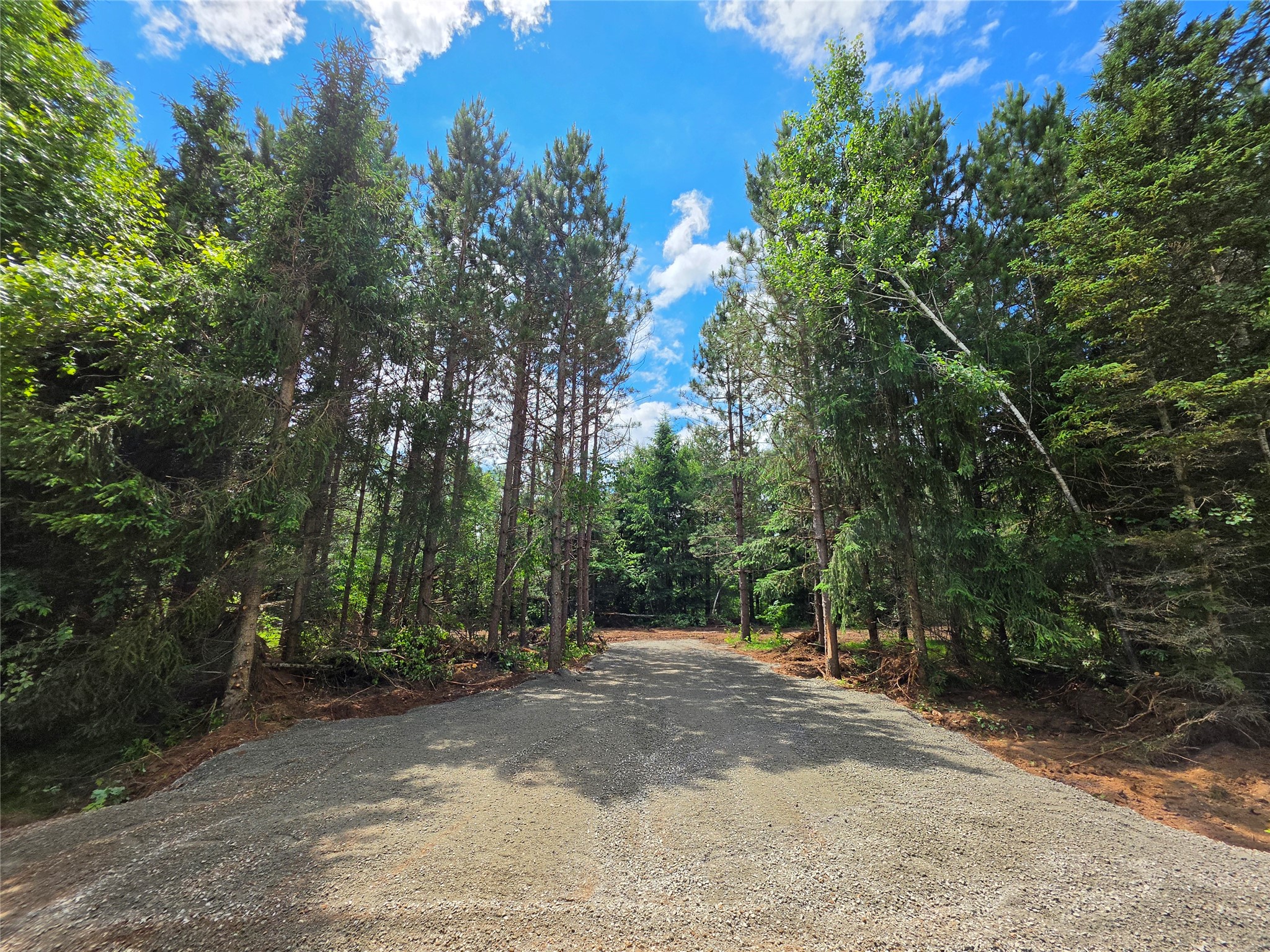 20 Acres Adams Road Property Photo 3