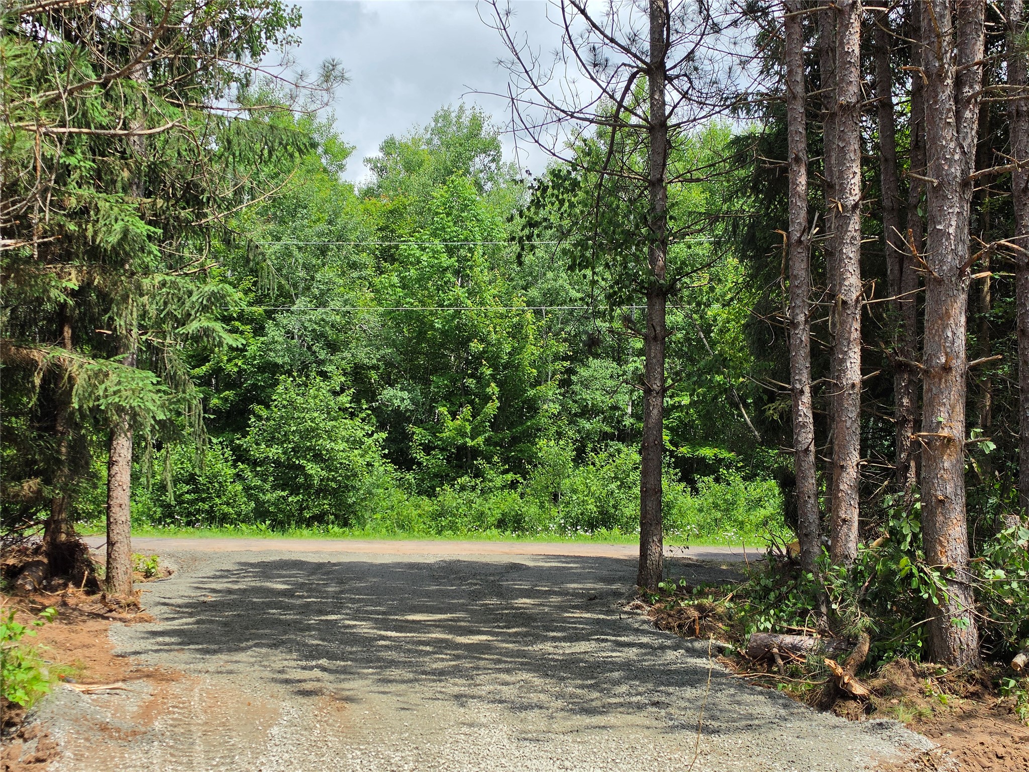 20 Acres Adams Road Property Photo 4
