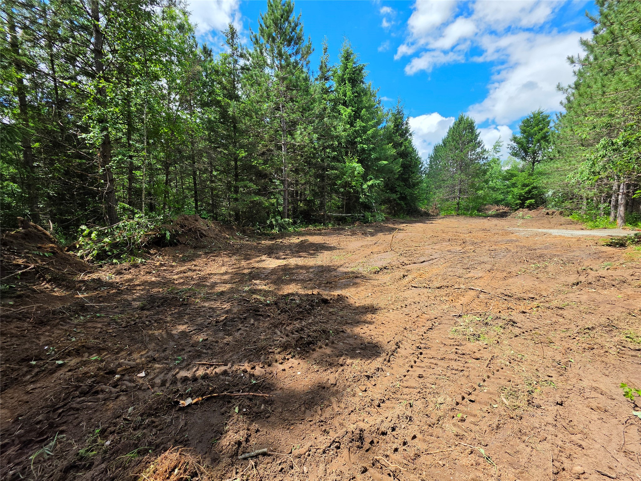 20 Acres Adams Road Property Photo 5