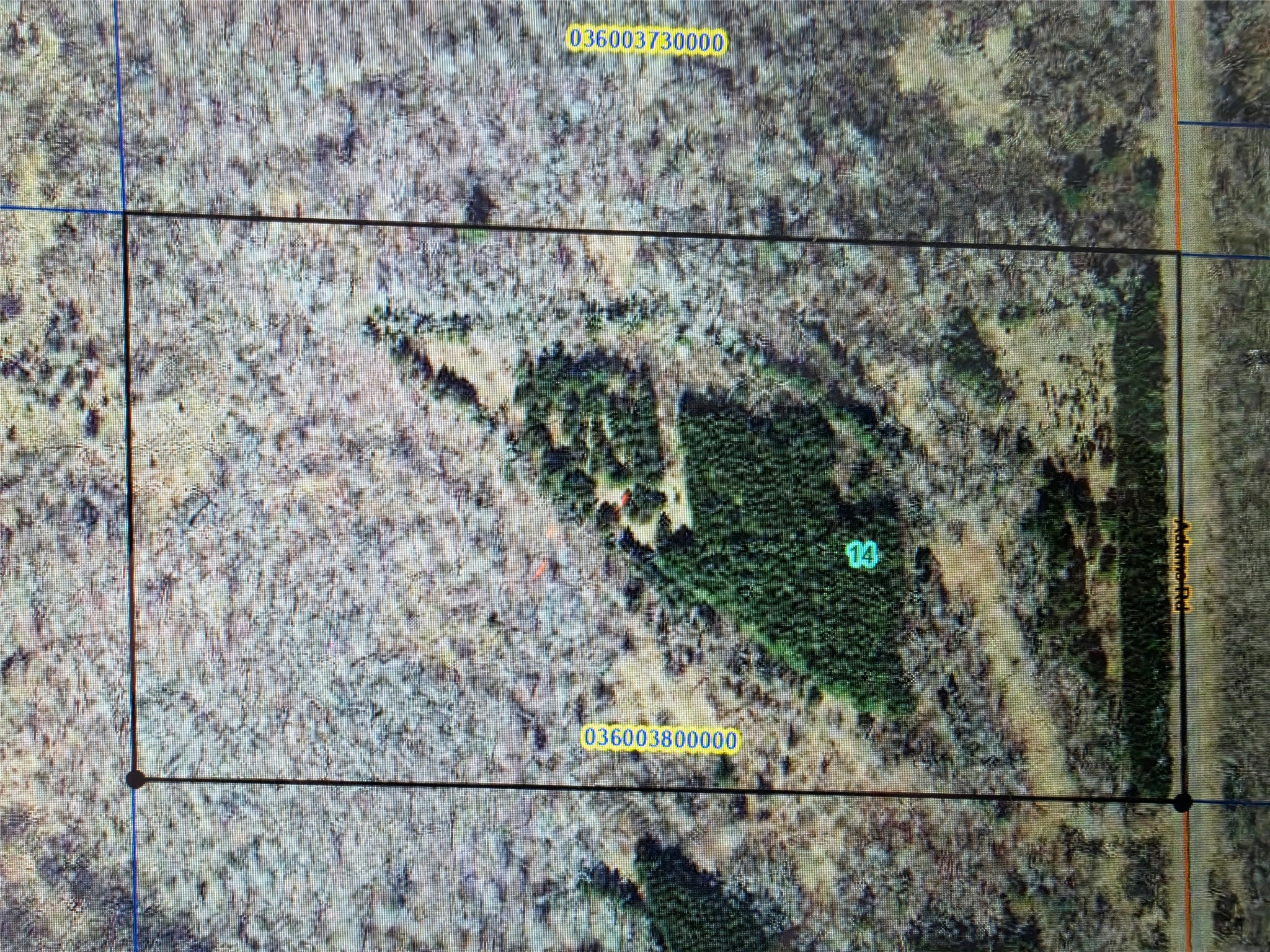 20 Acres Adams Road Property Photo 14